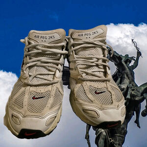 Nike Pegasus 2K5 'Phantom & Coconut Milk' FN7153-101 Women's 14 / Men’s 12.5